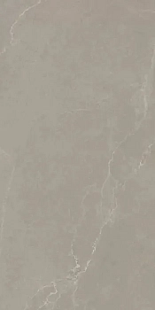 AVA Ceramica Noble Stone Taupe 8.8mm Nat 60x120 / Ава
 Керамика Нобле Стоун Таупэ 8.8mm Нат 60x120 